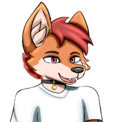 Nico_Wolf