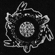 nineinchheel