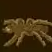 Hallowspider